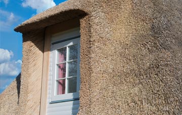 Ashburton thatch roof disadvantages
